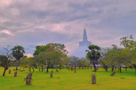Le Sri Lanka en famille 11 jours / 8 nuits